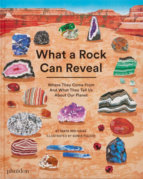 What a Rock Can Reveal - Paperback