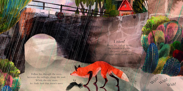 Fox : A Circle of Life Story - Paperback
