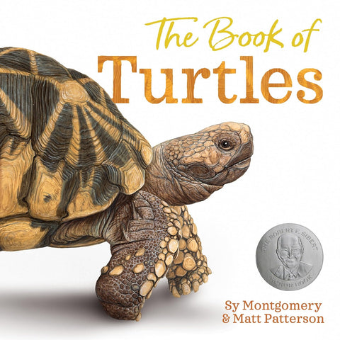 The Book of Turtles - Hardback