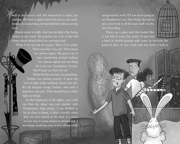 The Wonder Brothers - Paperback