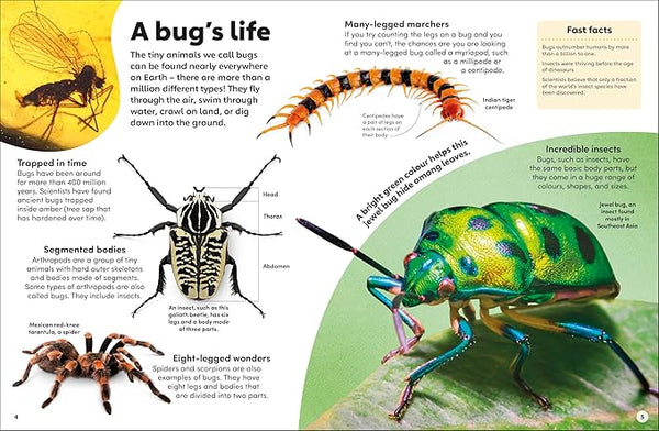 Eyewonder: Bugs - Hardback