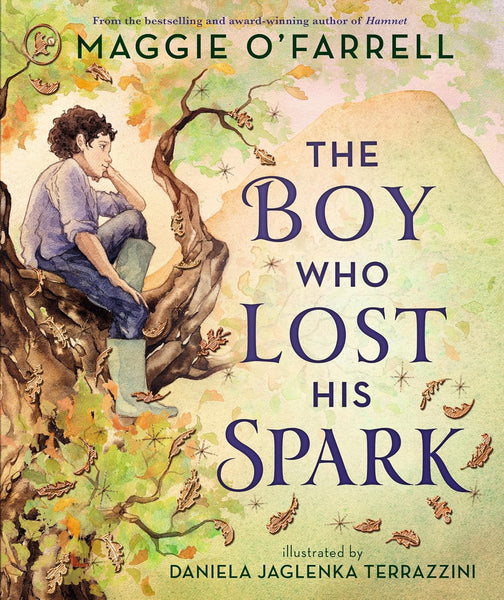 The Boy Who Lost His Spark - Paperback