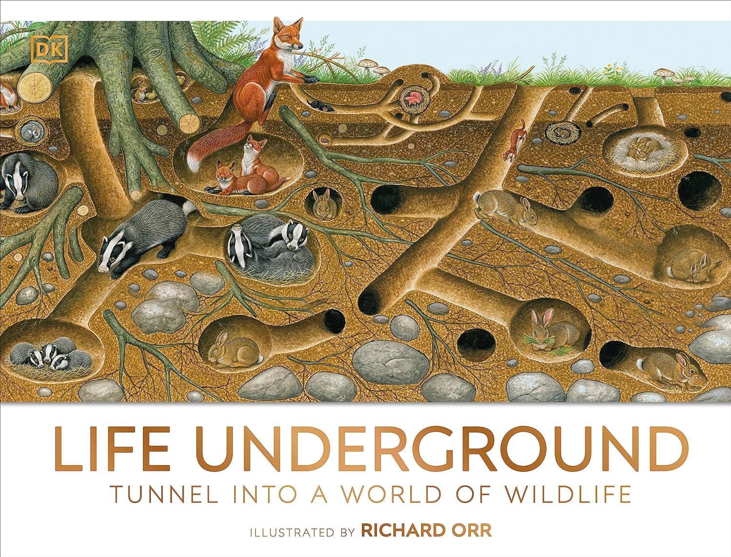 Life Underground - Hardback