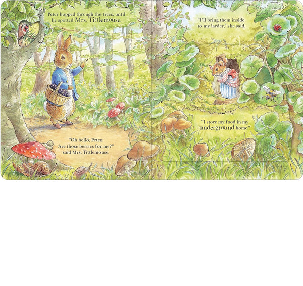 Peter Rabbit: Forest Homes A Peep-Inside - Board book