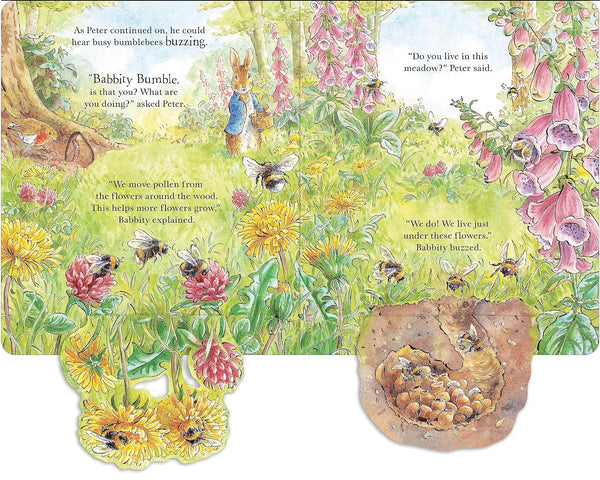 Peter Rabbit: Forest Homes A Peep-Inside - Board book