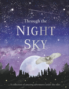 DK Through the Night Sky - Hardback