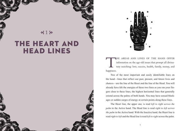 Little Bit of Palmistry - Hardback
