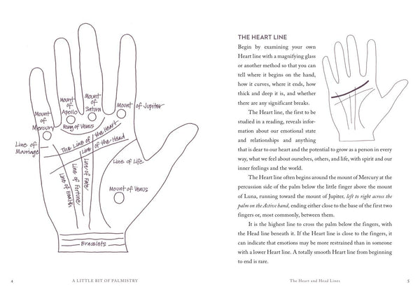 Little Bit of Palmistry - Hardback