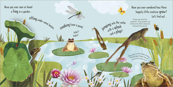 RHS How Does a Frog Grow? - Boardbook
