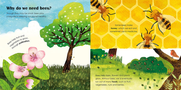 Bees: A Ladybird Eco Book - Boardbook
