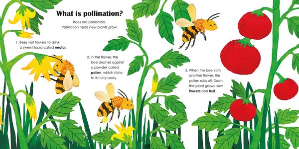 Bees: A Ladybird Eco Book - Boardbook