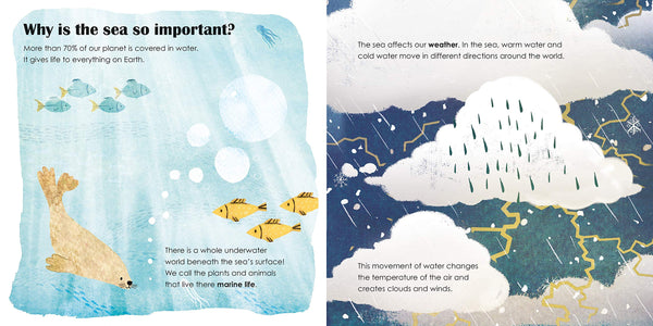 Seas: A lift-the-flap eco book
