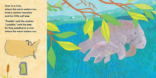 Our World, Our Home : Over in a River: A freshwater baby animal counting book - Paperback