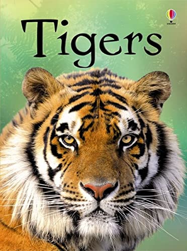 Usborne Beginners : Tigers - Hardback