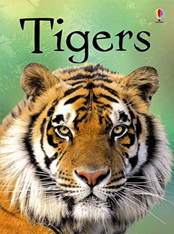 Usborne Beginners : Tigers - Hardback