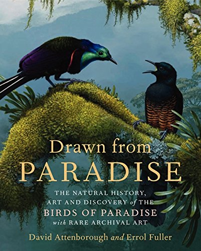 Drawn from Paradis: The Natural History, Art and Discovery of the Birds of Paradise with Rare Archival Art - Hardback