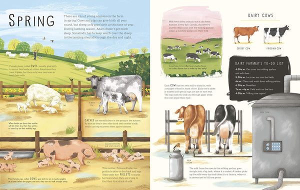 A Year on Adam's Farm - Boardbook