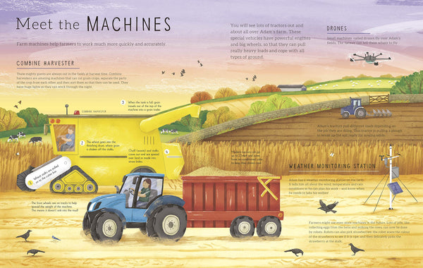 A Year on Adam's Farm - Boardbook