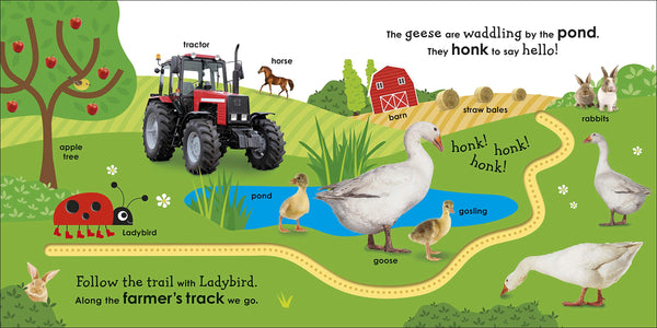 DK : On the Farm with a Ladybird - Boardbook