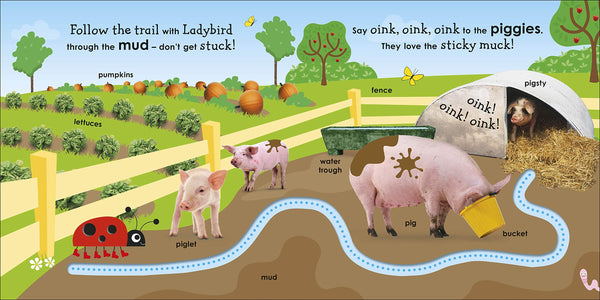DK : On the Farm with a Ladybird - Boardbook