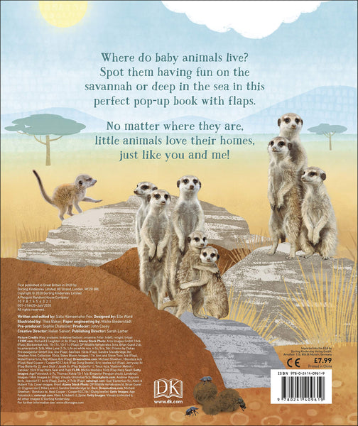 I Love My Home : A pop-up book about animal families and their homes - Board book