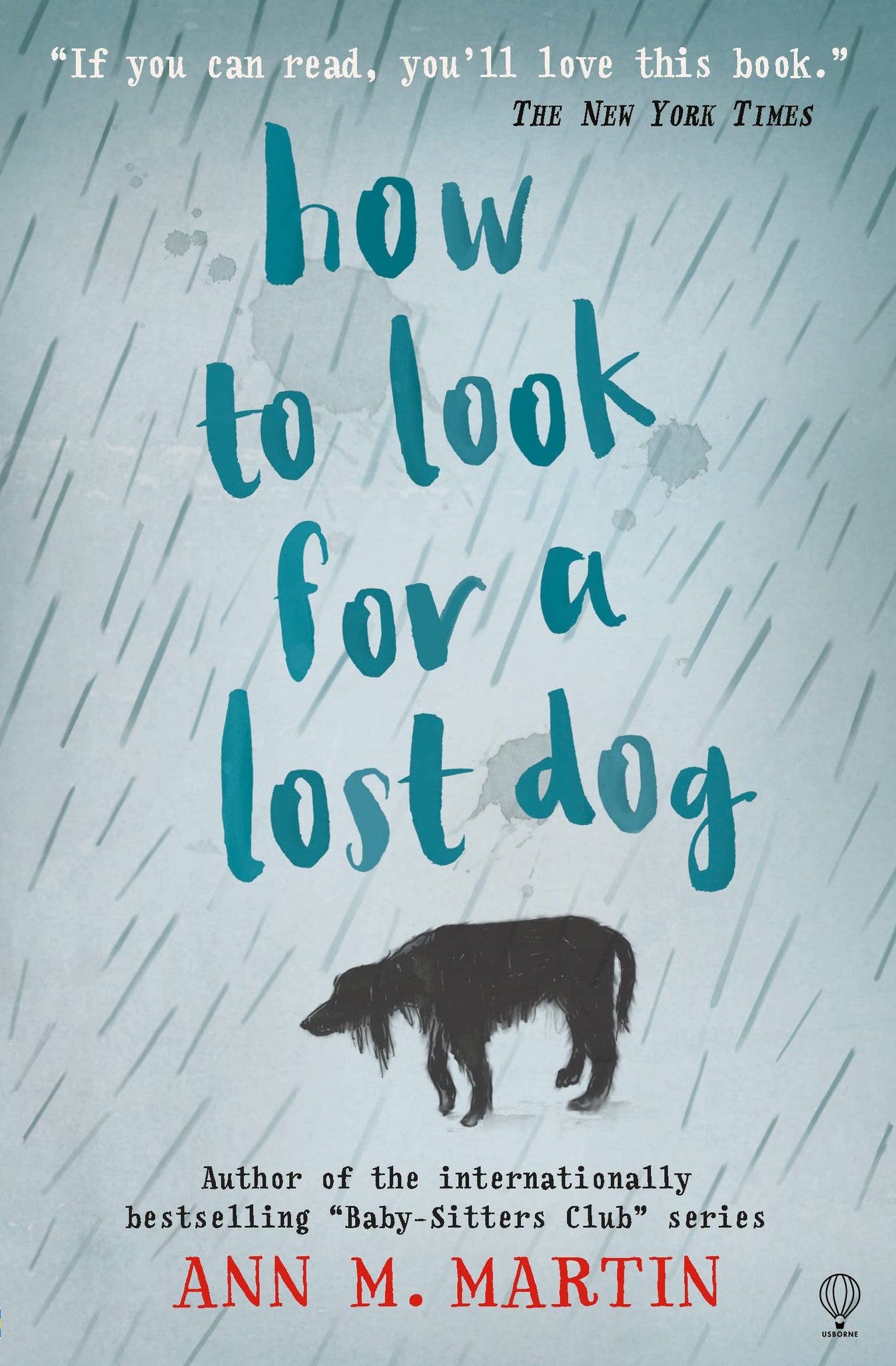 How to Look for a Lost Dog - Paperback