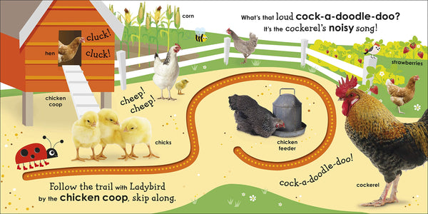 DK : On the Farm with a Ladybird - Boardbook