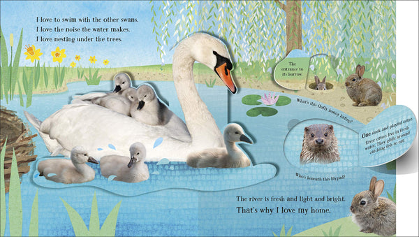 I Love My Home : A pop-up book about animal families and their homes - Board book