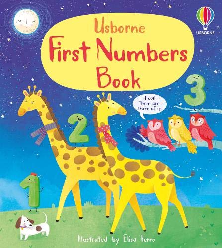 First Numbers Book - Board Book