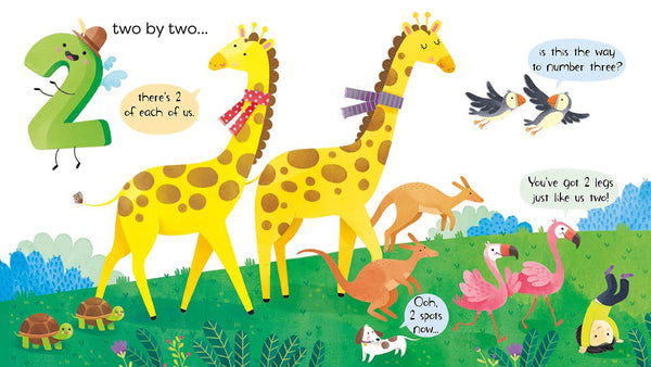 First Numbers Book - Board Book