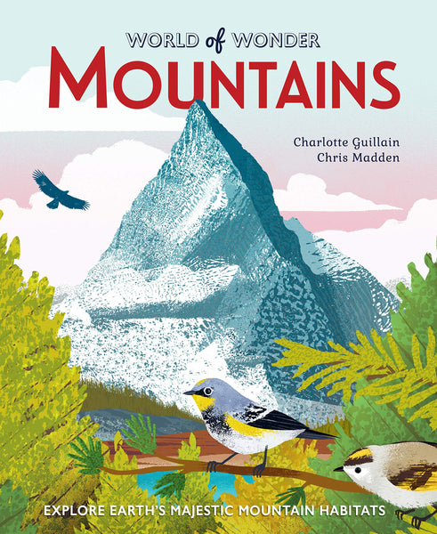 Mountains (World of Wonder) - Hardback