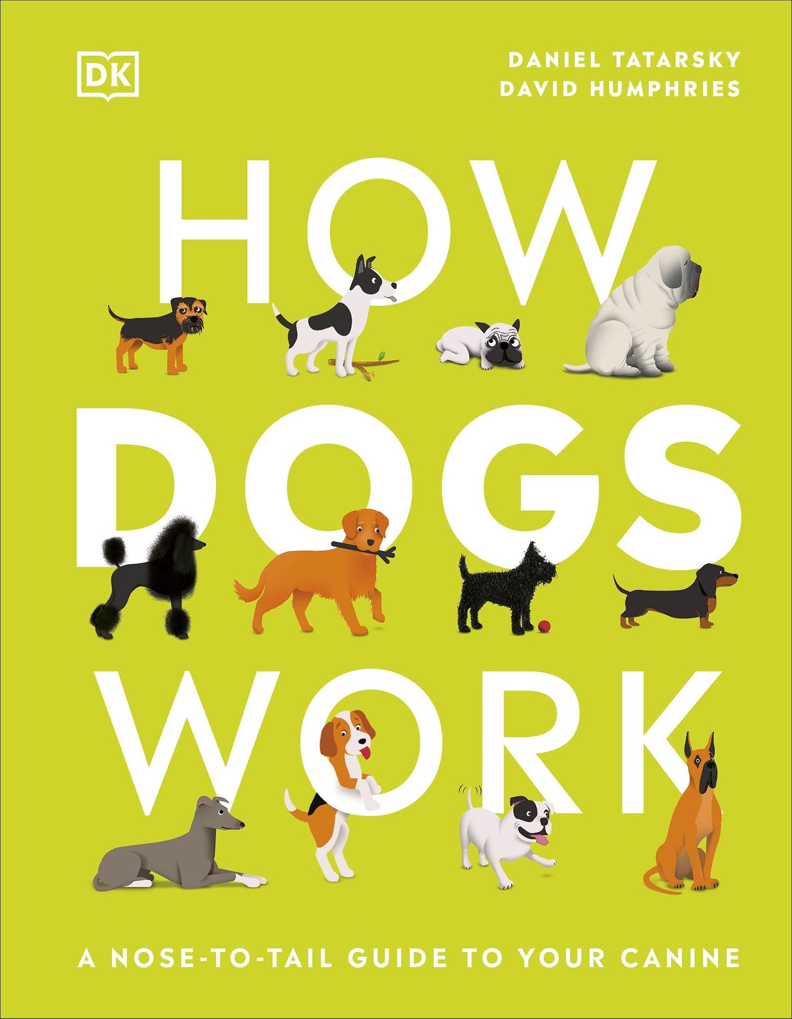 How Dogs Work : A Head-to-Tail Guide to Your Canine - Hardback