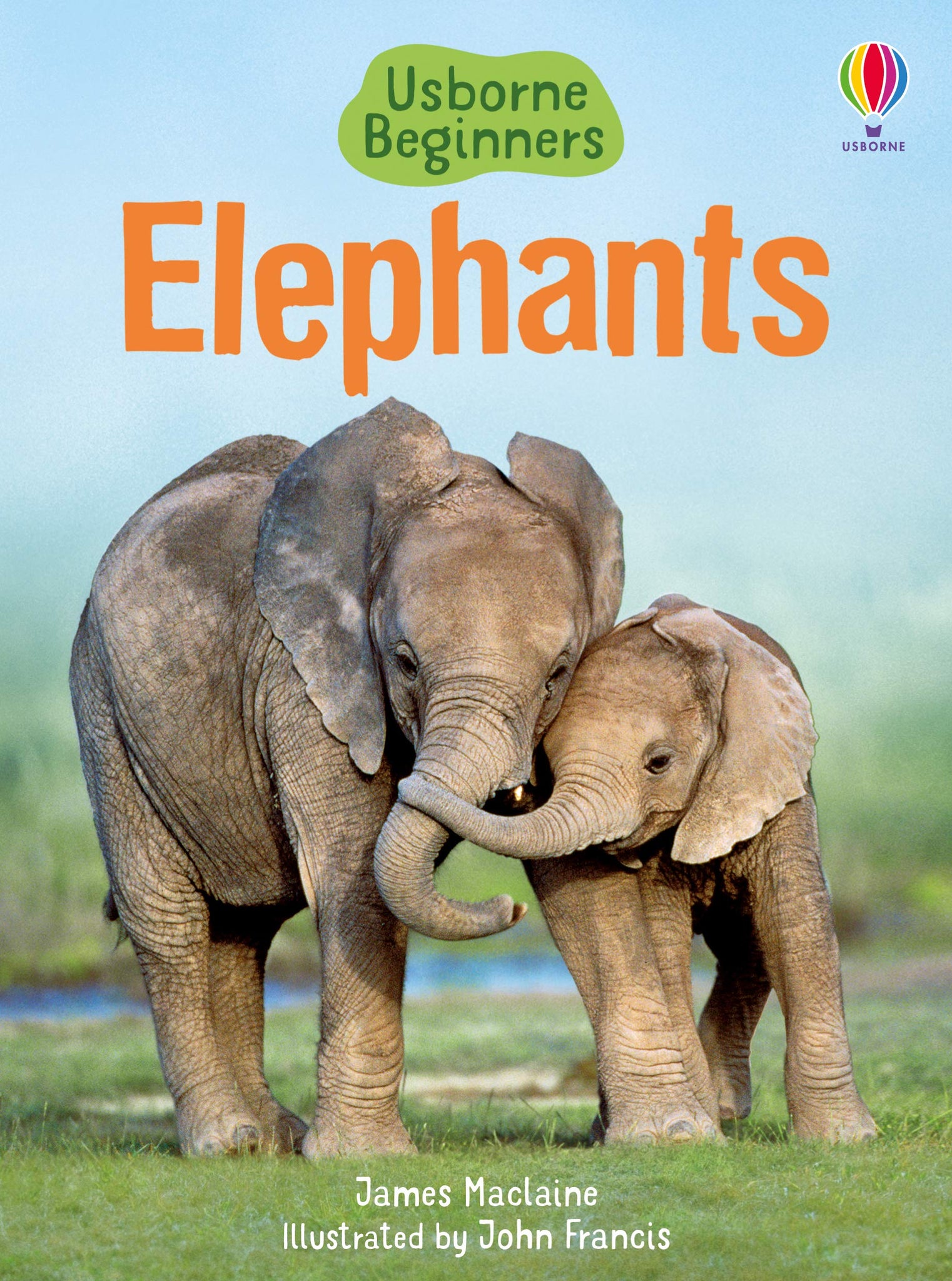 Usborne Beginners : Elephants - Hardback