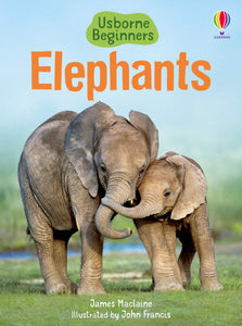 Usborne Beginners : Elephants - Hardback