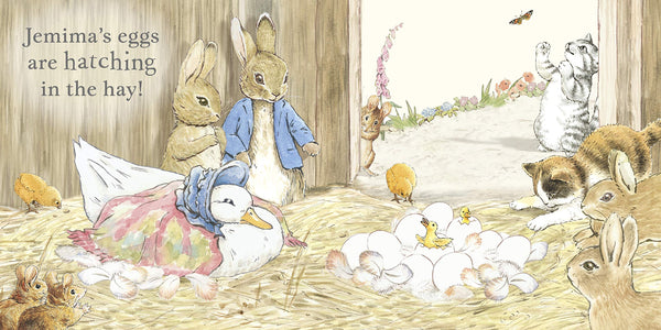 Peter Rabbit: Easter Surprise - Boardbook