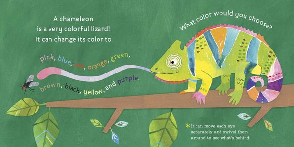 Hello, World! Reptiles - Boardbook