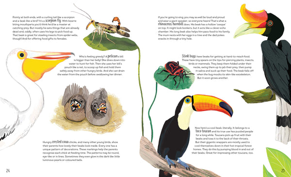 Funny Bums, Freaky Beaks: and Other Incredible Creature Features - Hardback