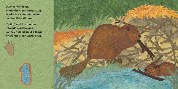 Our World, Our Home : Over in the Forest: A woodland baby animal counting book - Paperback