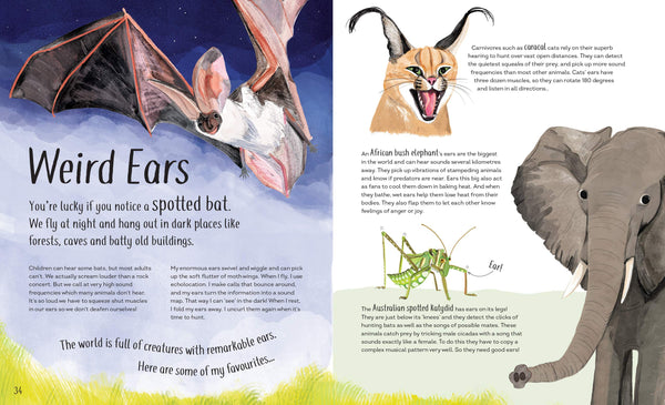 Funny Bums, Freaky Beaks: and Other Incredible Creature Features - Hardback