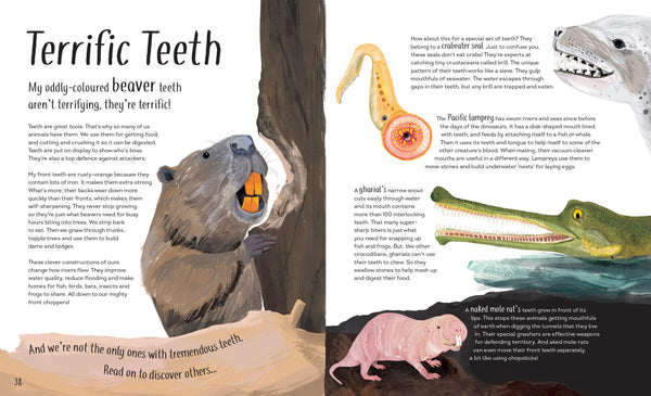 Funny Bums, Freaky Beaks: and Other Incredible Creature Features - Hardback