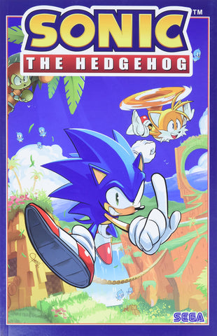 Sonic The Hedgehog #1 : Fallout - Paperback