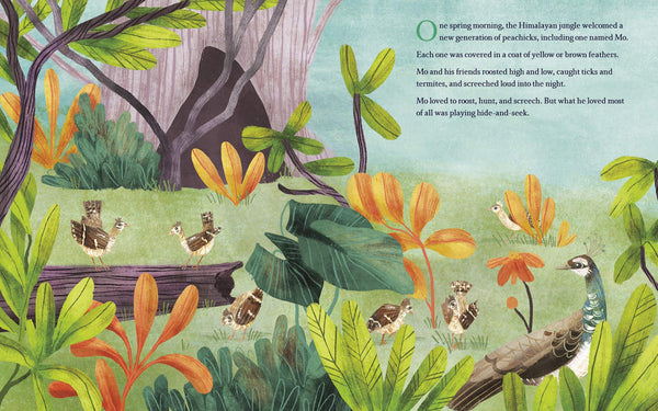 Birds of a Feather - Hardback