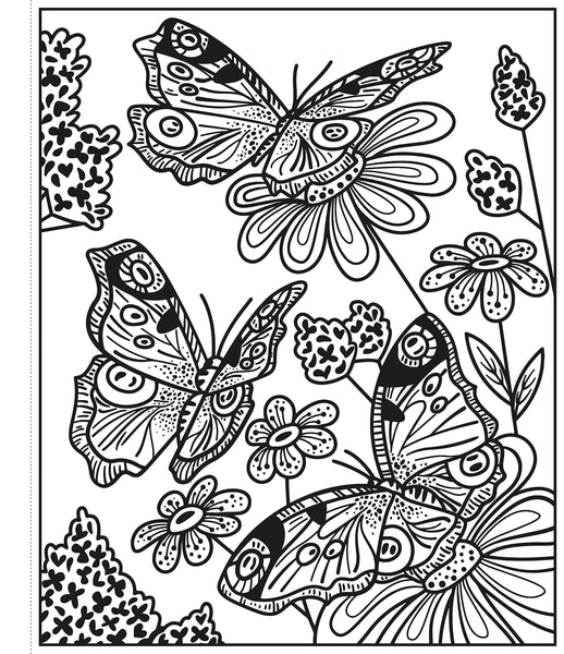 Usborne Magic Painting Book : Butterflies - Paperback
