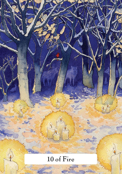The Witches' Wisdom Tarot: A 78-Card Deck and Guidebook