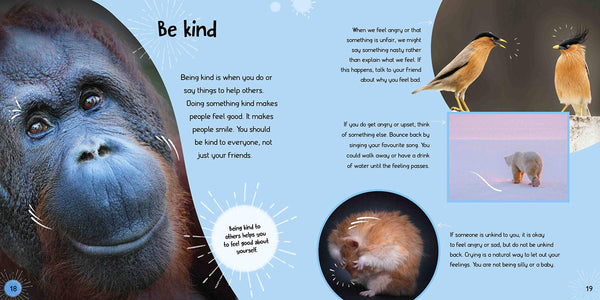 Build Resilience: Friendships and Bullying - Paperback