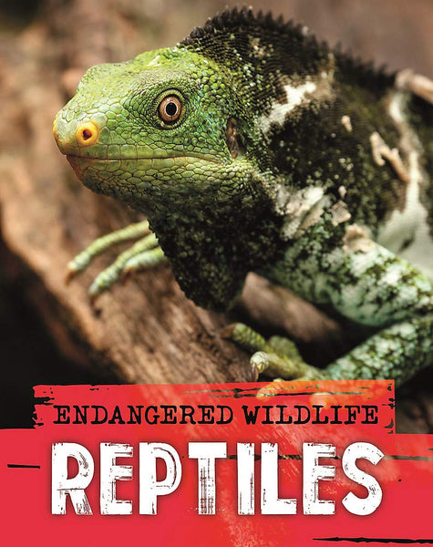 Endangered Wildlife: Rescuing Reptiles - Paperback