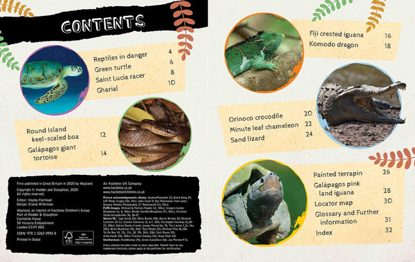 Endangered Wildlife: Rescuing Reptiles - Paperback