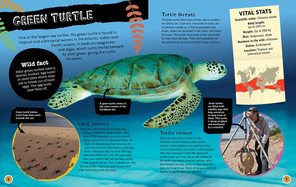 Endangered Wildlife: Rescuing Reptiles - Paperback