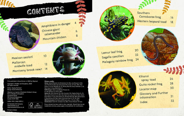 Endangered Wildlife: Rescuing Amphibians - Paperback