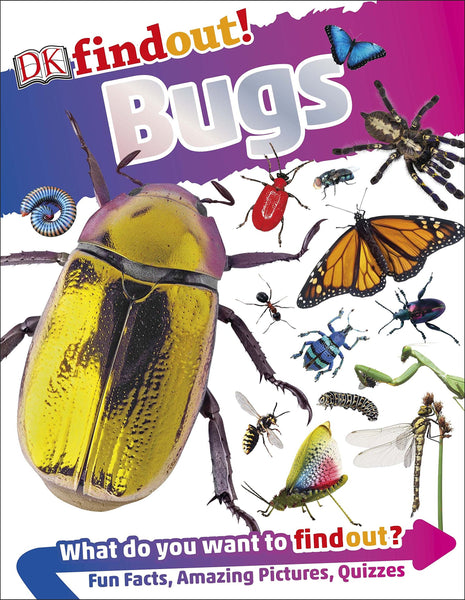 DKfindout! Bugs - Paperback